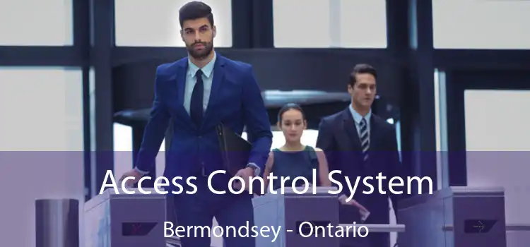Access Control System Bermondsey - Ontario