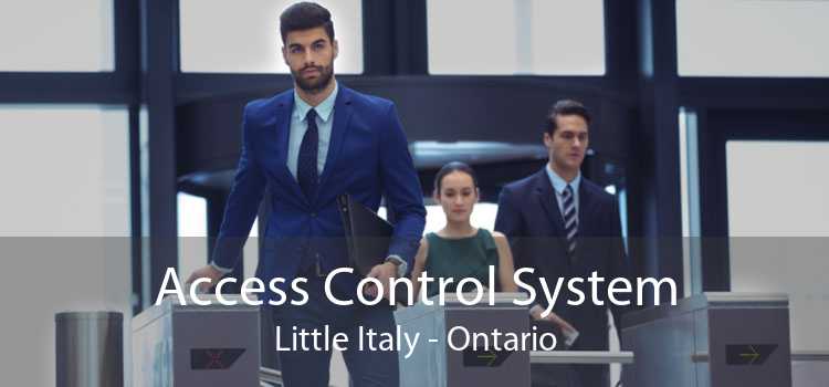 Access Control System Little Italy - Ontario