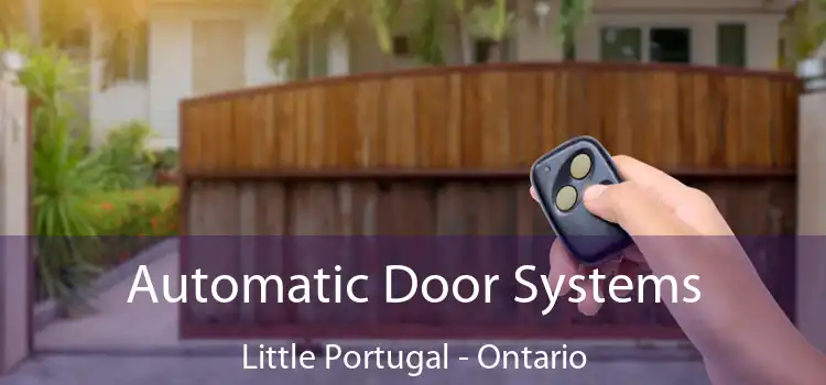 Automatic Door Systems Little Portugal - Ontario