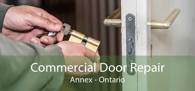 Commercial Door Repair Annex - Ontario