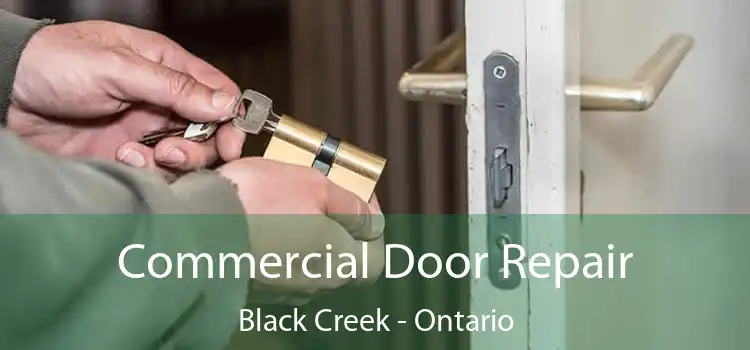Commercial Door Repair Black Creek - Ontario