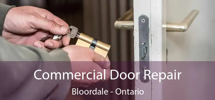Commercial Door Repair Bloordale - Ontario