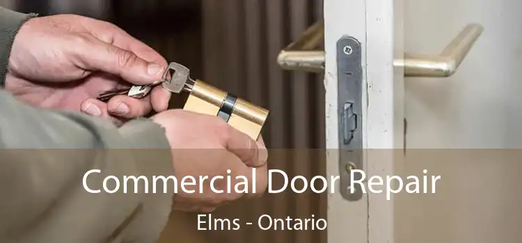 Commercial Door Repair Elms - Ontario