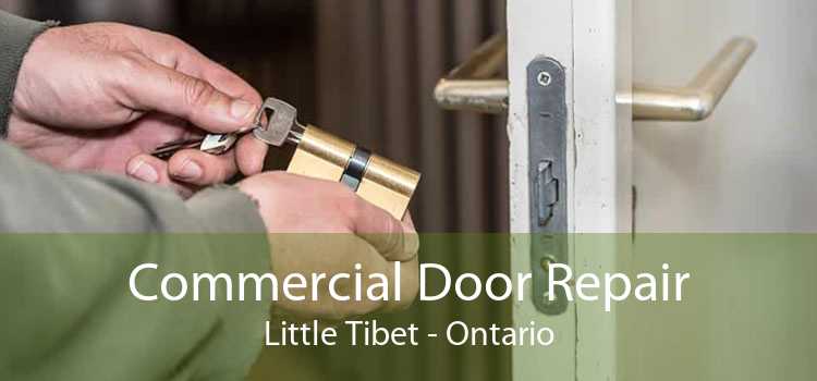 Commercial Door Repair Little Tibet - Ontario