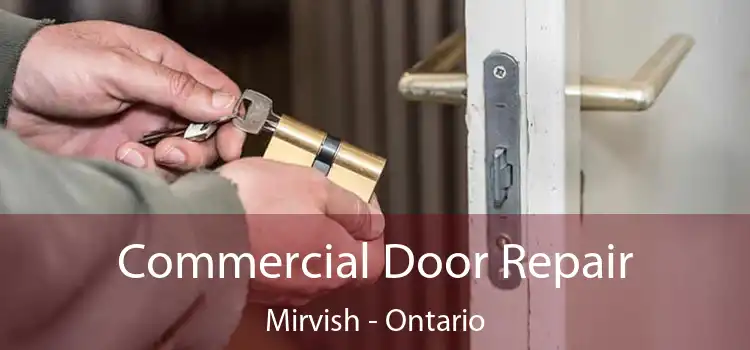 Commercial Door Repair Mirvish - Ontario