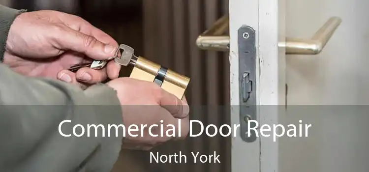  Commercial Door Repair North York