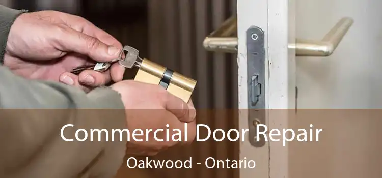 Commercial Door Repair Oakwood - Ontario