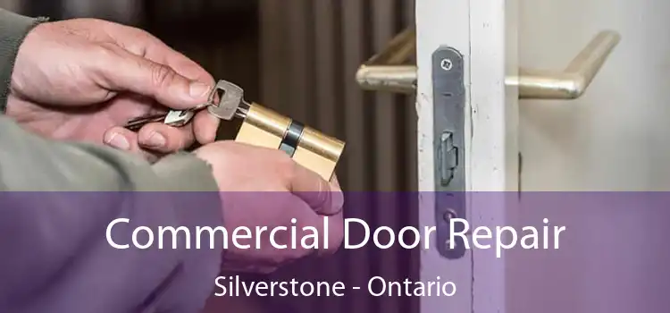 Commercial Door Repair Silverstone - Ontario