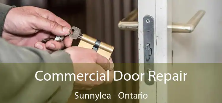 Commercial Door Repair Sunnylea - Ontario