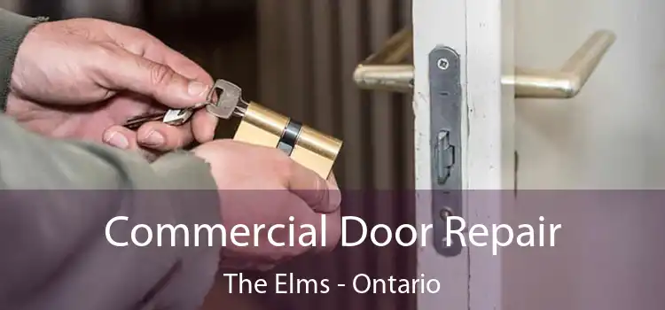 Commercial Door Repair The Elms - Ontario