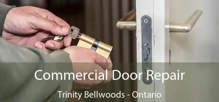 Commercial Door Repair Trinity Bellwoods - Ontario