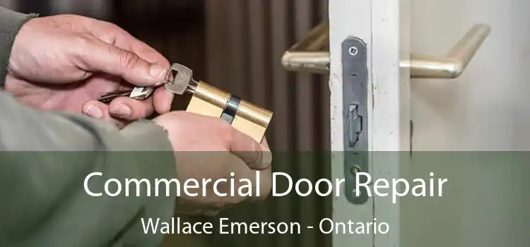 Commercial Door Repair Wallace Emerson - Ontario