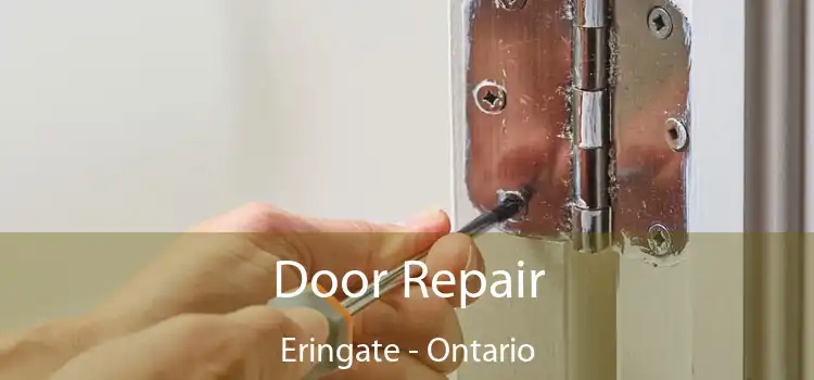 Door Repair Eringate - Ontario