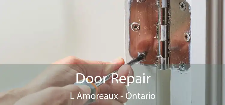 Door Repair L Amoreaux - Ontario