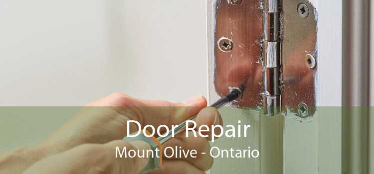 Door Repair Mount Olive - Ontario
