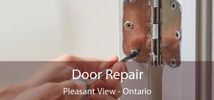 Door Repair Pleasant View - Ontario