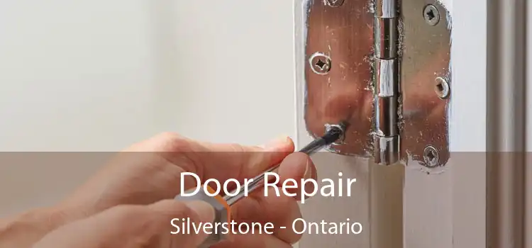 Door Repair Silverstone - Ontario