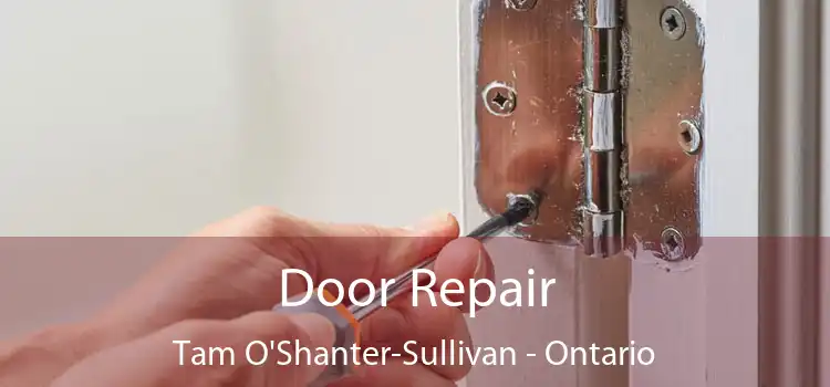Door Repair Tam O'Shanter-Sullivan - Ontario