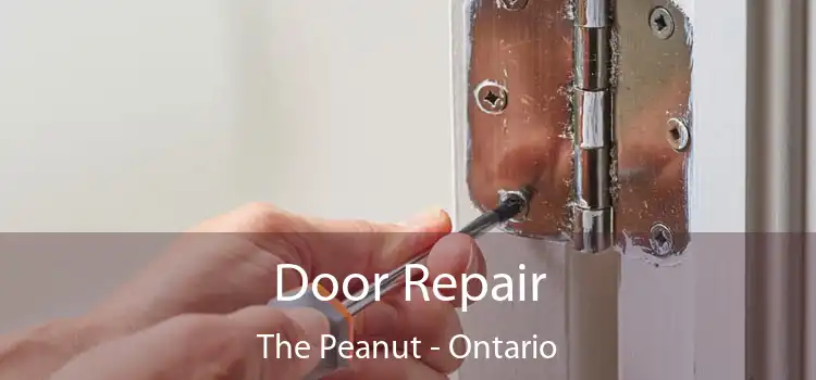 Door Repair The Peanut - Ontario