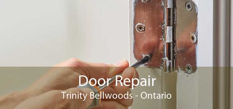 Door Repair Trinity Bellwoods - Ontario