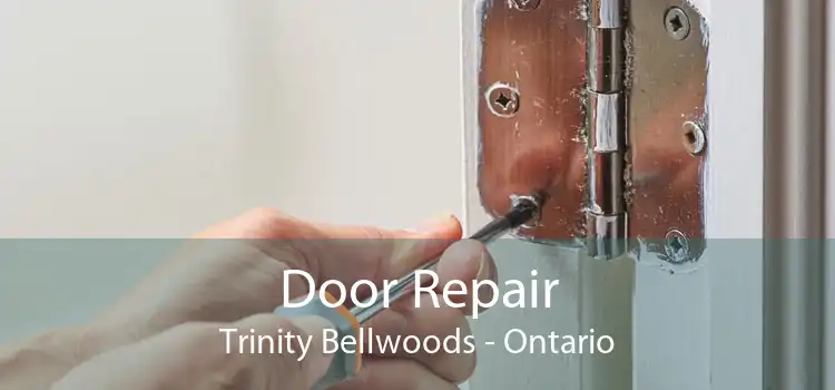 Door Repair Trinity Bellwoods - Ontario