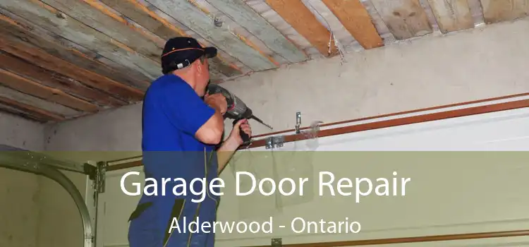 Garage Door Repair Alderwood - Ontario