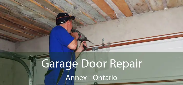 Garage Door Repair Annex - Ontario