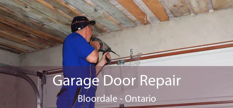 Garage Door Repair Bloordale - Ontario