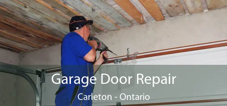Garage Door Repair Carleton - Ontario