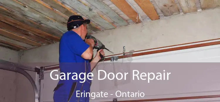 Garage Door Repair Eringate - Ontario