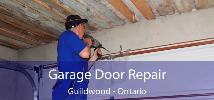 Garage Door Repair Guildwood - Ontario