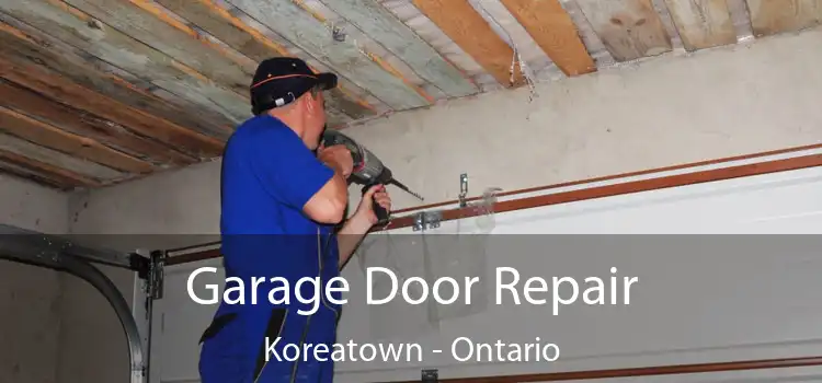 Garage Door Repair Koreatown - Ontario