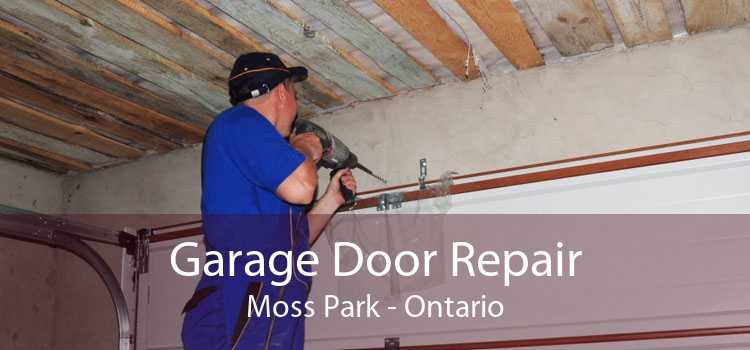 Garage Door Repair Moss Park - Ontario