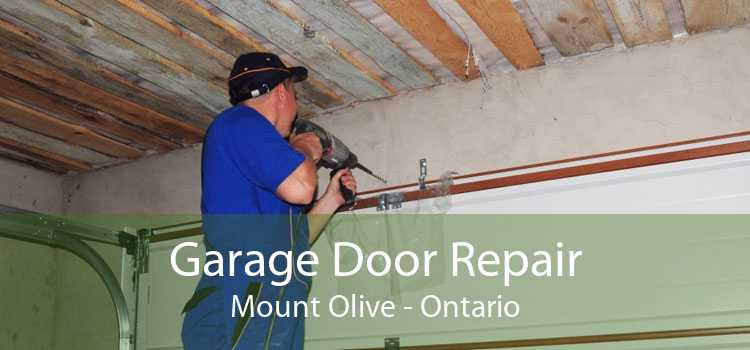 Garage Door Repair Mount Olive - Ontario