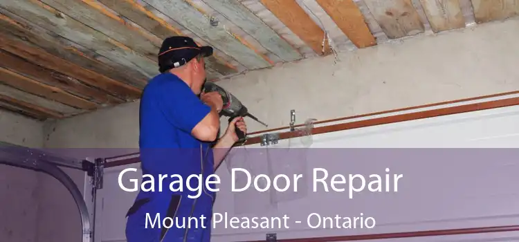 Garage Door Repair Mount Pleasant - Ontario