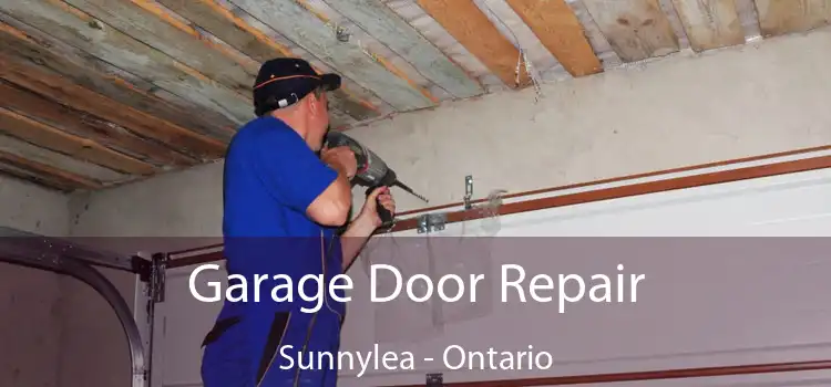 Garage Door Repair Sunnylea - Ontario