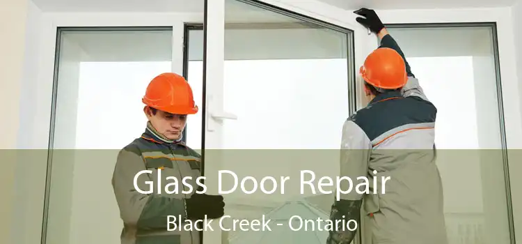 Glass Door Repair Black Creek - Ontario
