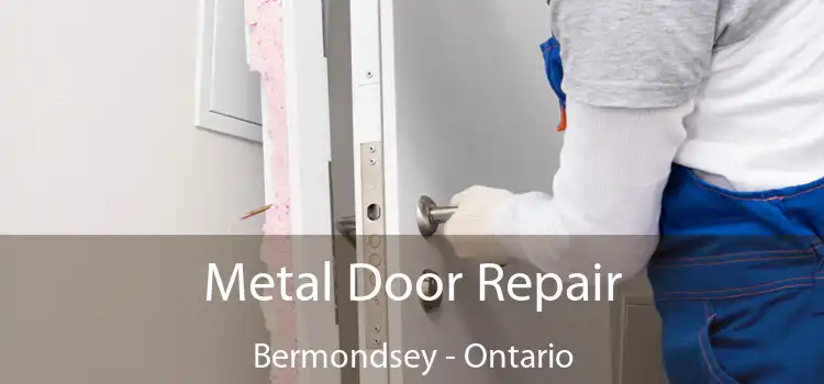 Metal Door Repair Bermondsey - Ontario