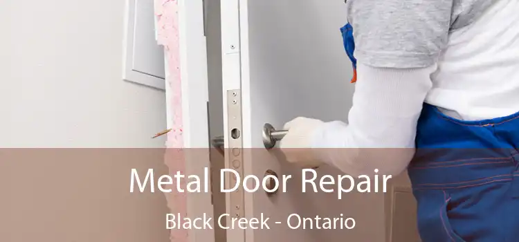Metal Door Repair Black Creek - Ontario