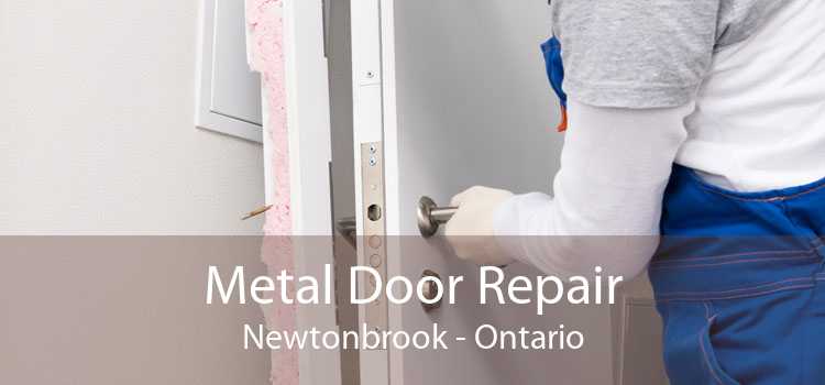 Metal Door Repair Newtonbrook - Ontario
