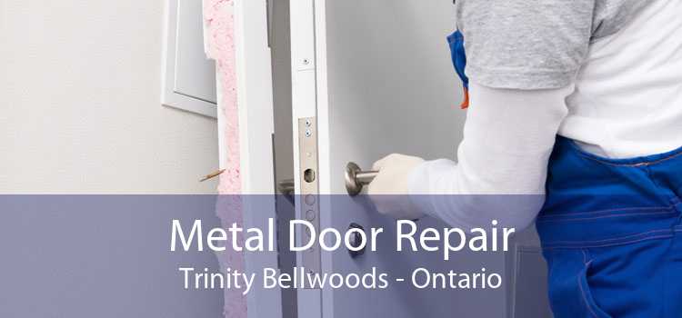 Metal Door Repair Trinity Bellwoods - Ontario