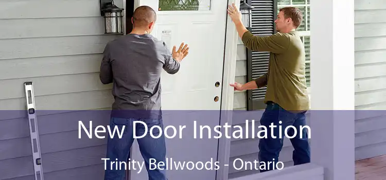 New Door Installation Trinity Bellwoods - Ontario