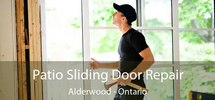 Patio Sliding Door Repair Alderwood - Ontario