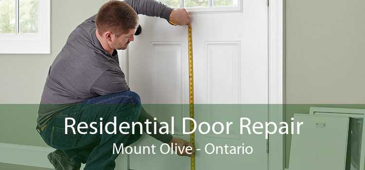 Residential Door Repair Mount Olive - Ontario