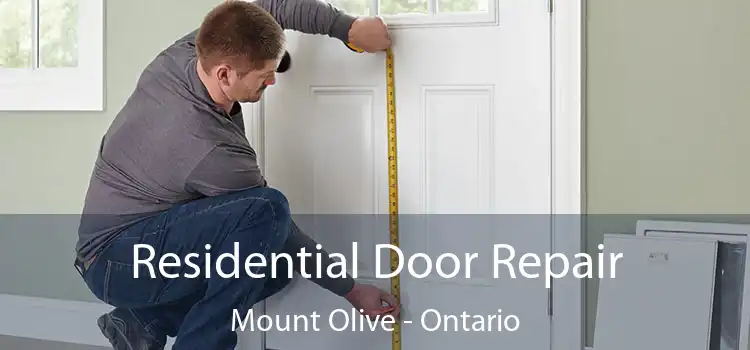 Residential Door Repair Mount Olive - Ontario