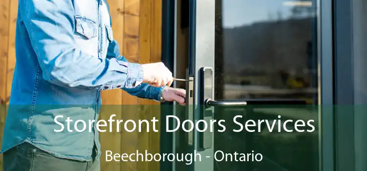 Storefront Doors Services Beechborough - Ontario