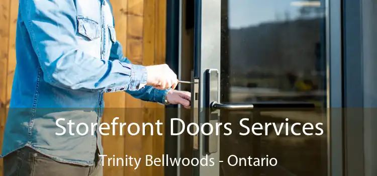 Storefront Doors Services Trinity Bellwoods - Ontario