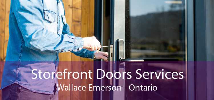 Storefront Doors Services Wallace Emerson - Ontario