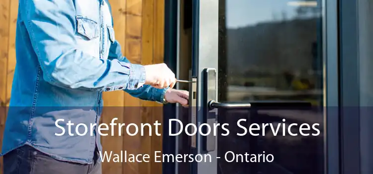 Storefront Doors Services Wallace Emerson - Ontario